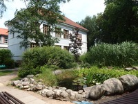 Hamzovo arboretum